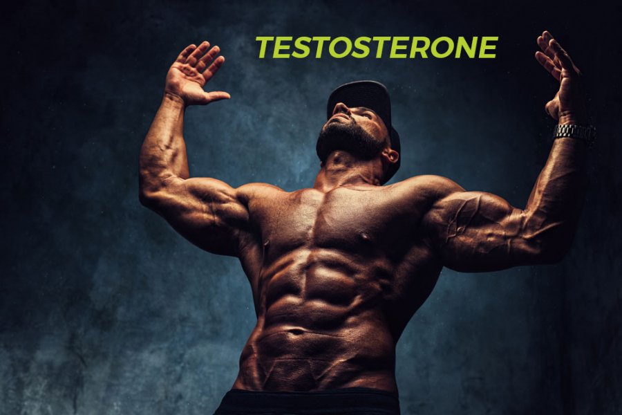 Rối loạn cương dương do suy giảm Testosterone